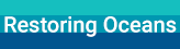 Restoring Oceans Logo